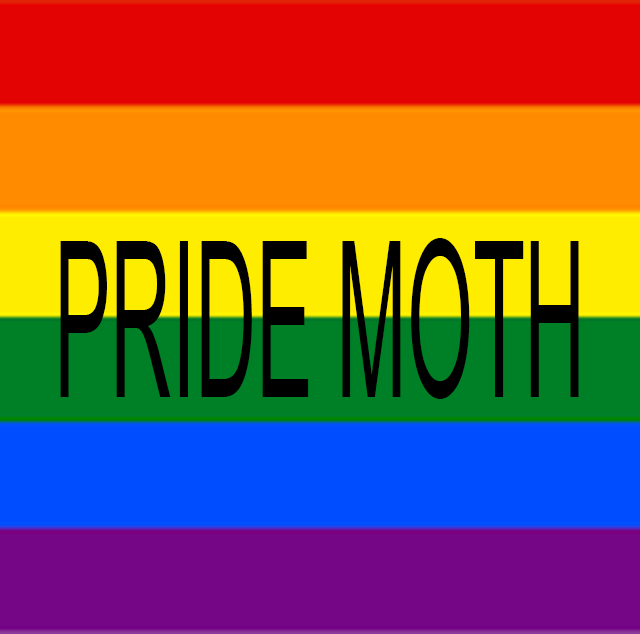 pride month